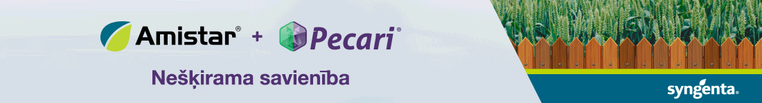 Profi top banner
